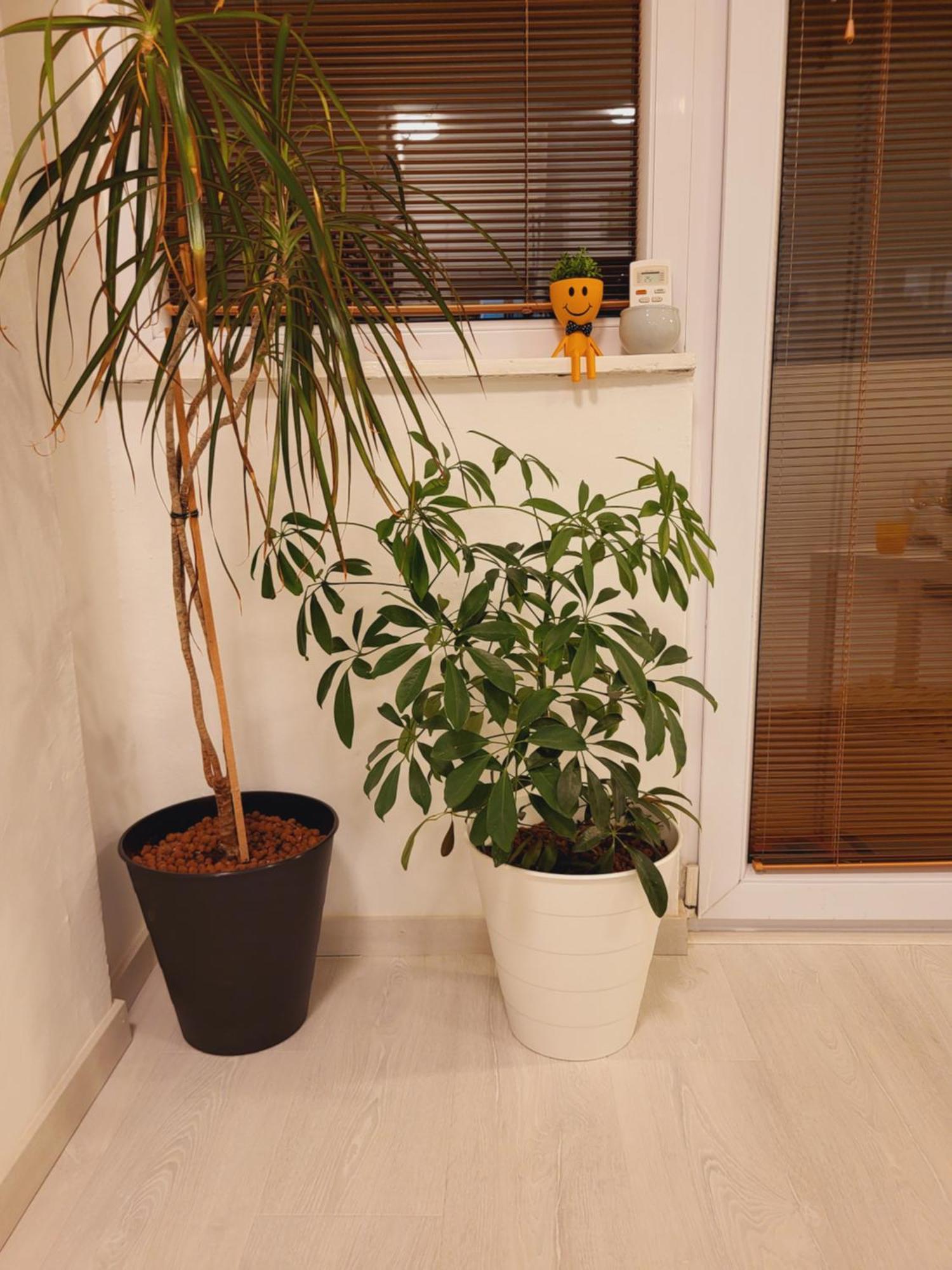 City Center White Apartment! Szkopje Kültér fotó
